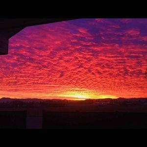 Meet your Posher, Sakia